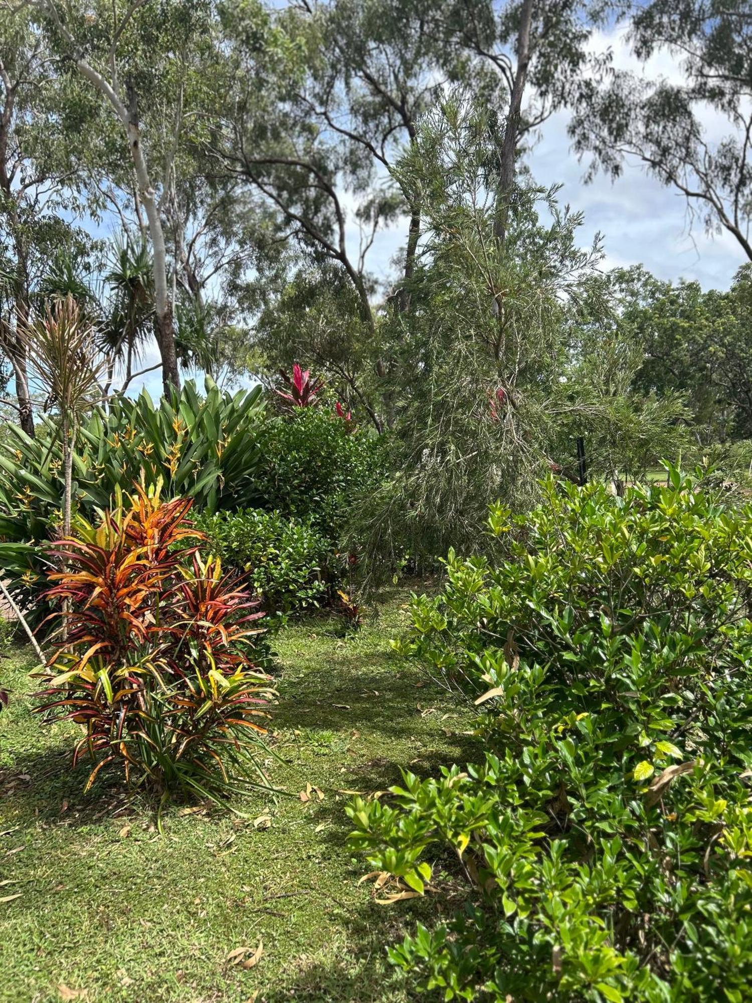 Litchfield Tropical Stay Batchelor Ngoại thất bức ảnh